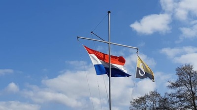 vlaggen